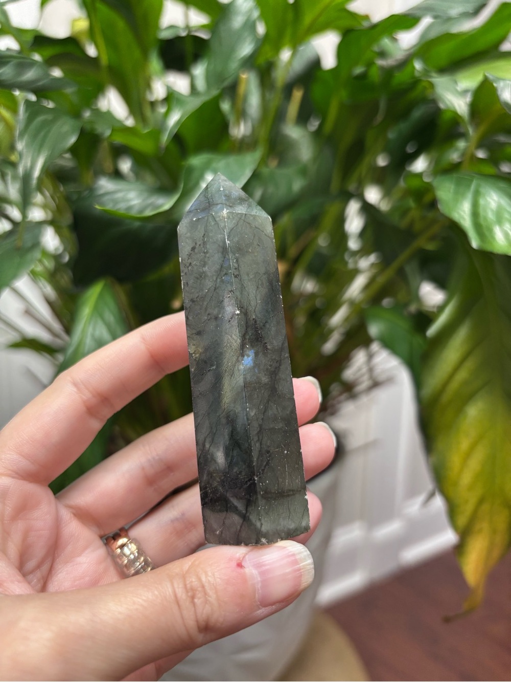 Labradorite Crystal Point - Iridescent Gray-Green - Picture 3 of 3